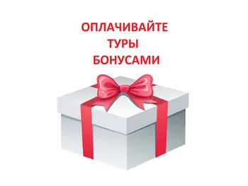 Бонусная программа